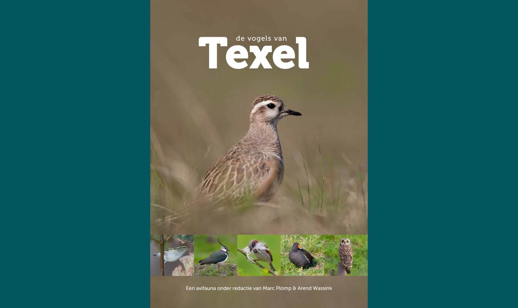 avifauna texel v4 Large